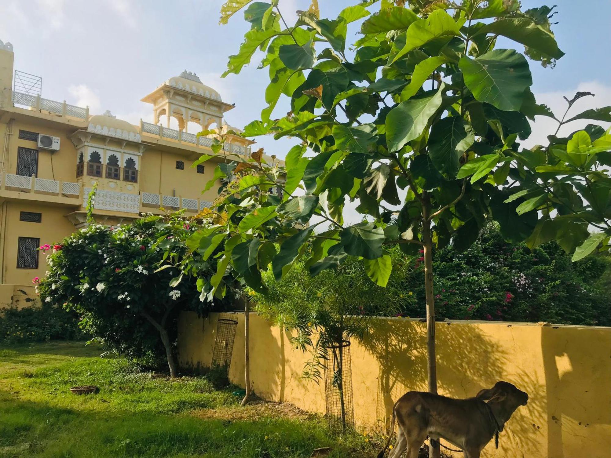 Deogarh Hills A Village Experience