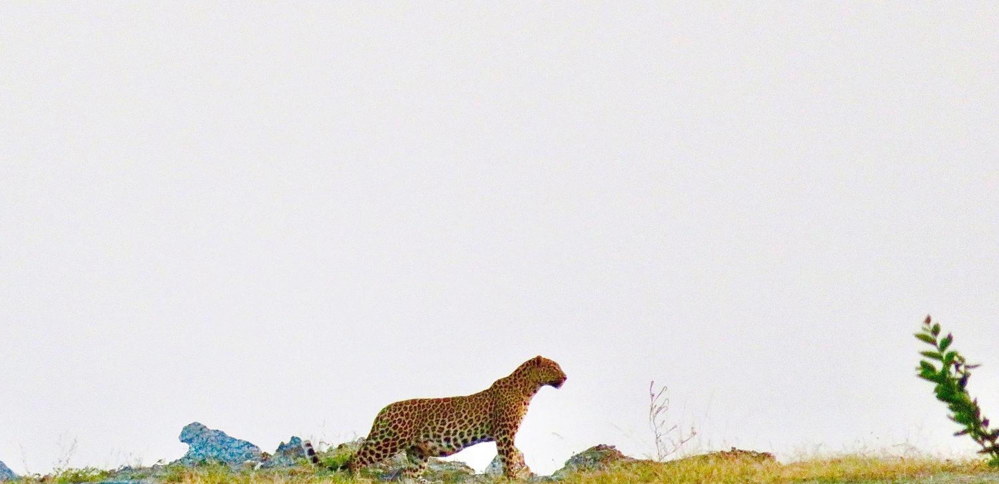 Deogarh Hills A Village Experience