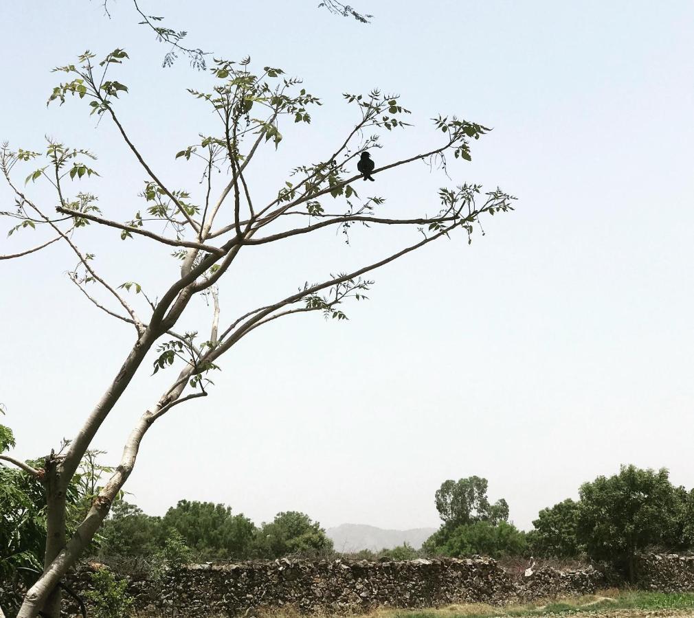 Deogarh Hills A Village Experience *